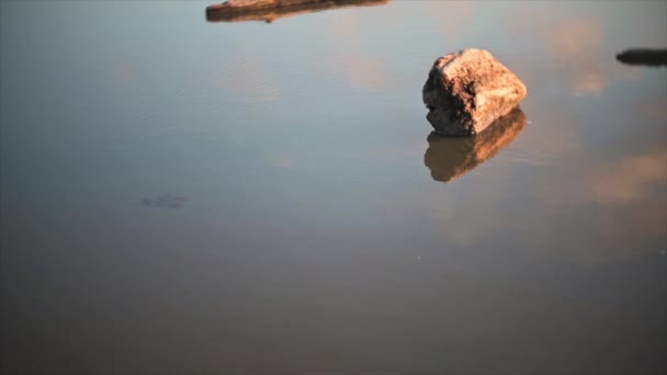Skyer reflektert i sølepytt på stranden, med drivved. Delvis uklart fokus. – stockvideo