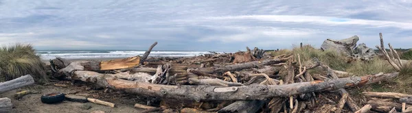 Driftwood swept on Oregon beach after king tide — Stock Photo, Image