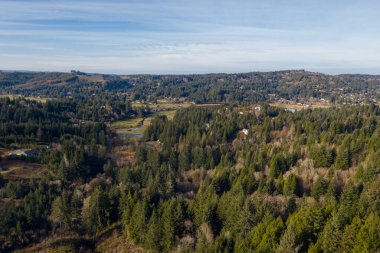 Coos Körfezi, Oregon çevresindeki orman havası
