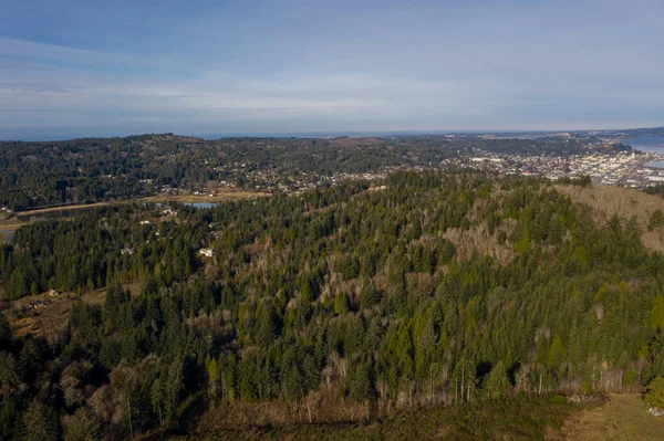 Aerial of forest around Coos Bay, Oregon — Stock Photo, Image