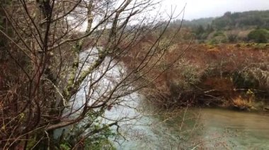 Güney Oregon 'daki Elk Nehri, aşağı eğik çekim