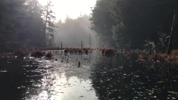 Tranquilo sereno calma Oregon lago paisagem cena — Vídeo de Stock
