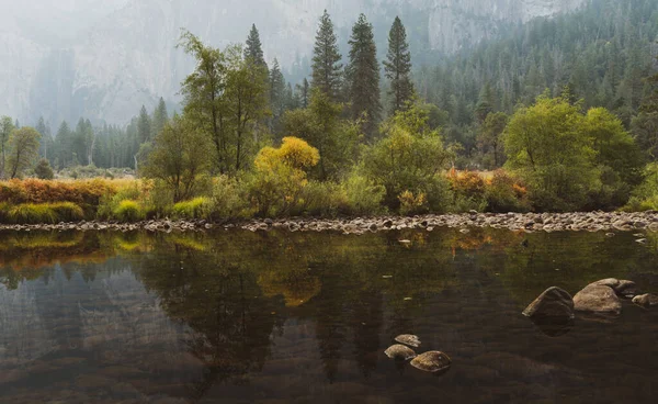 Drzewa nad brzegiem rzeki Merced w Parku Narodowym Yosemite — Zdjęcie stockowe