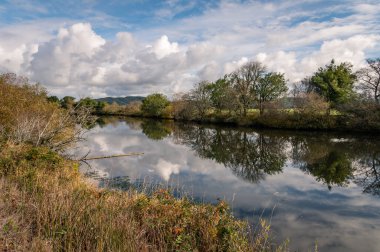 Nehir kıyısındaki ağaçlar bulutlarla suya yansıyor