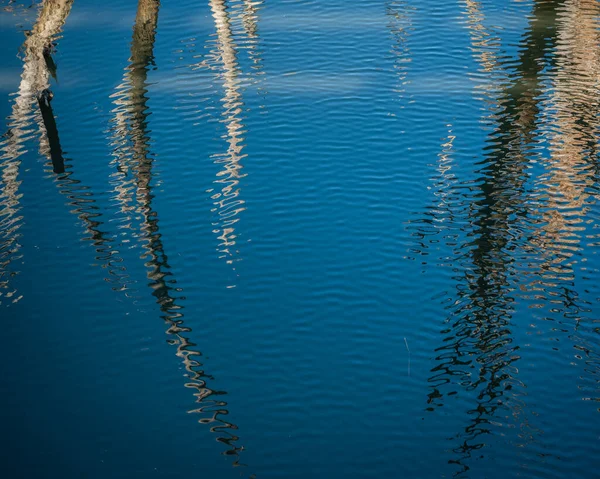 숨막히는 물결과 푸른 물에 반사되어 있는 나무 가지들 — 스톡 사진