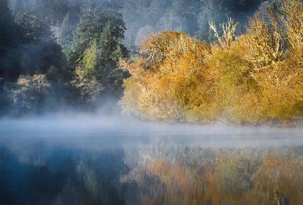 Fog hovering over river early morning at sunrise — Stock Photo, Image