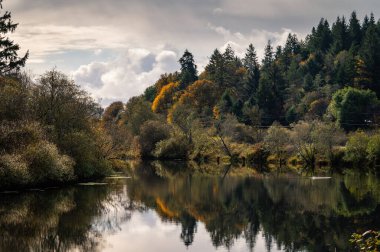 Oregon 'daki sakin sonbahar Coquille nehri bulutlu bir günde