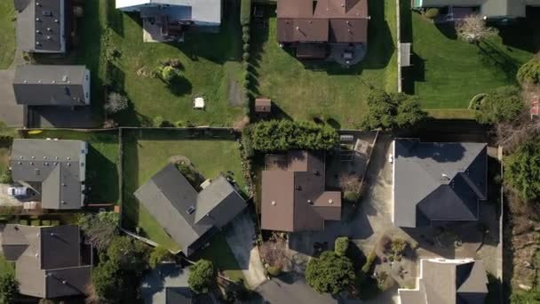 Widok Birdseye domów mieszkalnych sąsiedztwa z dużymi podwórkami — Wideo stockowe
