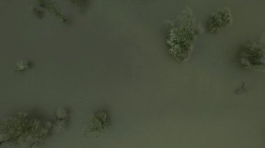 Sel basmış otlaktaki ağaçların yukarıdan drone görüntüsü, iklim değişikliği etkisi