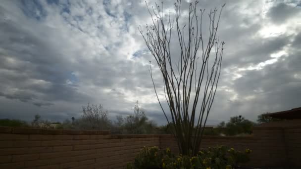 Time-Lapse de nubes en movimiento rápido sobre el jardín casero del desierto — Vídeos de Stock