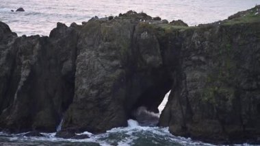 Bandon Oregon Sahili 'nde Fil Kayası oluşumu. Yakın çekim.