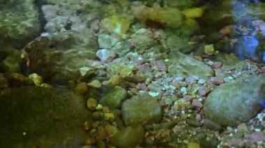 Kayaların üzerinden nazikçe akan yakın nehir.