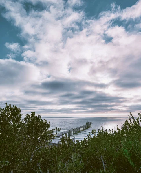 View Scripps Pier Green Vegetation Cloudy Sky Jolla California Vertical — Stock Photo, Image