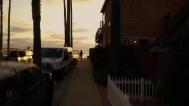 İnsansız hava aracı Imperial Beach, California, San Diego 'daki tropikal palmiye ağaçlarının üzerinden yükseliyor..