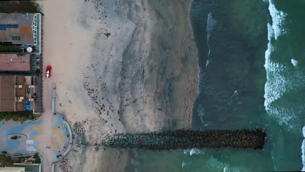 Зверху вниз повітряний вид на червоний транспортний засіб, що їде на пляжі з хвилями, що йдуть на берег — стокове відео