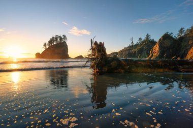 ABD 'nin başkenti Washington' daki Olympic Ulusal Parkı 'nda ikinci plaj. Güzel deniz yığınlarının manzarası.