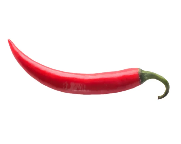 Röd Chili Paprika Vit Bakgrund Chili Isolerad Vit Bakgrund — Stockfoto