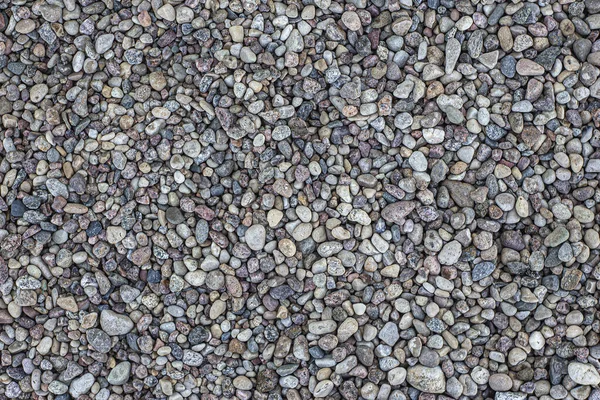 Smooth Pebbles Texture Background Pebble Sea Beach Close Dark Wet — Stock Photo, Image