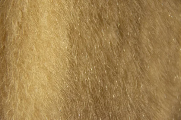 Fur texture. Fur for the background. Fur material. Faux fur. — Stock Photo, Image