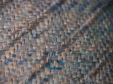 Zanzibar Tanzanya 'nın baharat adası