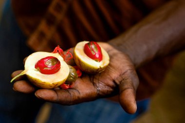 Zanzibar Tanzanya 'nın baharat adası