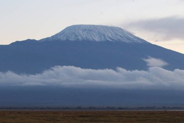 Kenya 'daki Tsavo Doğu Ulusal Parkı' nda Afrika savanası manzarası