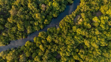 Dar es Salaam şehrinin havadan görünüşü
