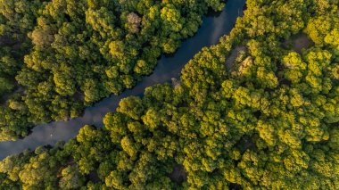Dar es Salaam şehrinin havadan görünüşü