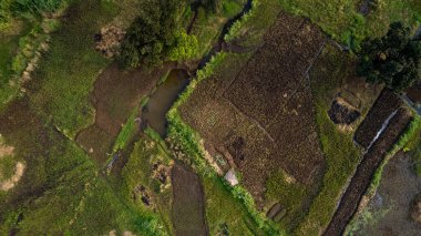 Morogoro şehrinin hava manzarası