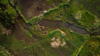 Morogoro şehrinin hava manzarası