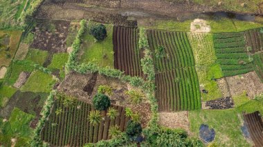 Morogoro şehrinin hava manzarası