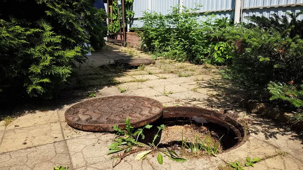 Köknar Ağacının Yanındaki Özel Bir Evin Avlusunda Kanalizasyon Kanalı Açın — Stok fotoğraf