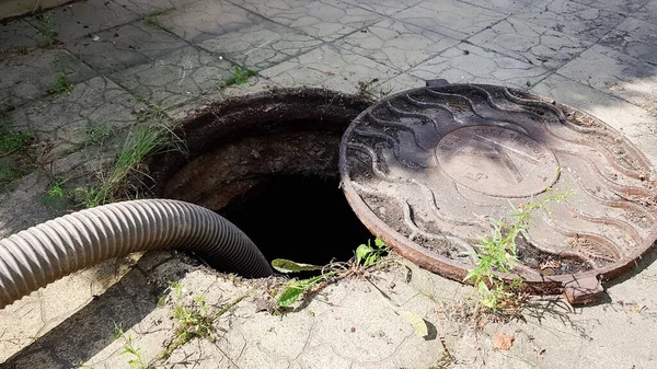 Open Sewer Manhole Courtyard Private House Next Fir Tree Cleaning — Stock Photo, Image