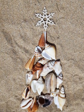 Deniz kabuklarından yapılmış bir Noel ağacı kumun üzerine serilir ve üzerinde bir yıldızla taçlandırılır. Selamlaşmak için Noel arkaplanı. Kış tatili