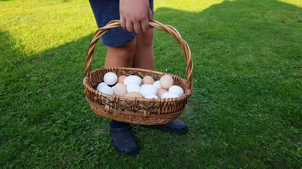 農家は自家製の有機卵のバスケットを手に持っています 健康的な栄養 — ストック写真