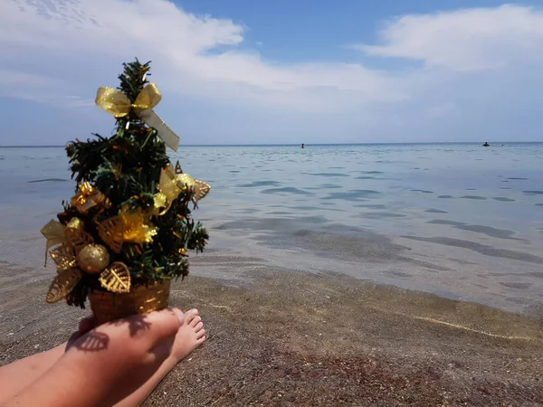 Oyuncaklarla Süslenmiş Bir Noel Ağacı Denizin Arka Planına Karşı Bir — Stok fotoğraf