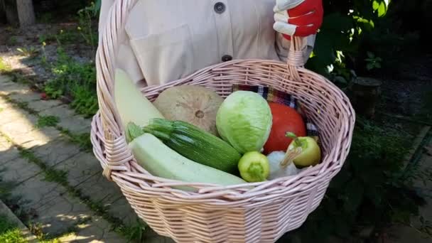 A farmer holds a basket with an autumn harvest in his hands. it contains zucchini pumpkin garlic cabbage pepper onion — Stock Video