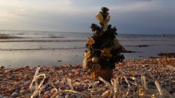 Kerstboom op de achtergrond van zee golven en zonsondergang. Kerstmis op het strand. wintervakantie in warme landen. Nieuwjaarsvakantie. — Stockvideo