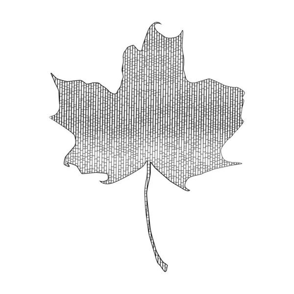 Autumn Maple Leaf Hand Drawn Vector Illustration Isolated White — Stock Vector