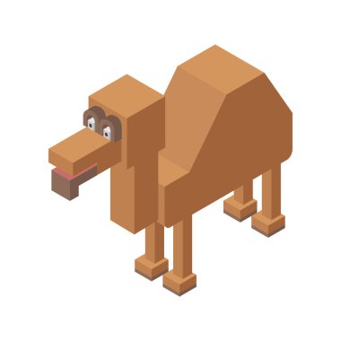 Dromedary izometrik simgesi. El çizimi vektör çizimi. Düz renkler.