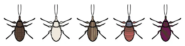 Conjunto Escarabajos Hocico Ilustración Vectorial Dibujado Mano Aislado Blanco Colores — Archivo Imágenes Vectoriales