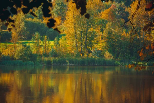 Paisaje con árboles otoñales y superficie del río. Paisaje natural de finales de otoño.Hermosa escena con un lago forestal y reflexión sobre la superficie del agua.Árboles con follaje de otoño anaranjado.Mañana de otoño — Foto de Stock