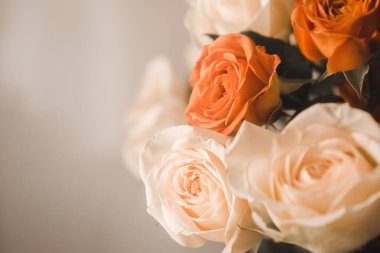 Tozlu bir arka planda yakın plan gül buketi. Tebrik kartı konsepti. yatay resim