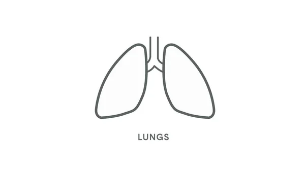 Icona Polmonare Illustrazione Lineare Modificabile Isolata Del Vettore Dei Polmoni — Vettoriale Stock