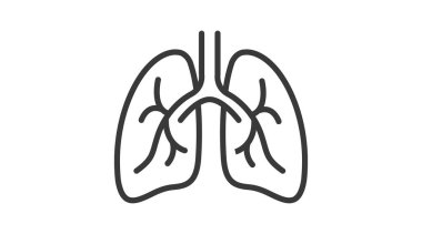 Minimalist black and white vector illustration of human lungs. Perfect for medical, healthcare, anatomy, respiratory system, and educational projects. Ideal for use in infographics, websites, apps, presentations, and stock design resources. 