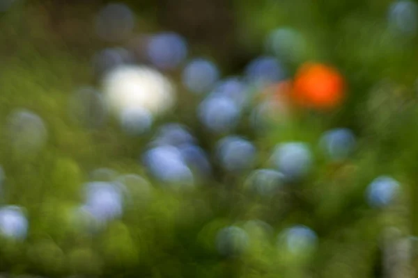 Bokeh Bonito Com Vermelho Brilhante Laranja Roxo Manchas Verdes Fundo — Fotografia de Stock