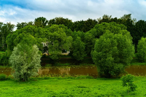 Summer Landscape Green Trees — Stock Photo, Image