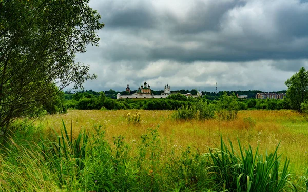 Summer Landscape Green Trees — Stock Photo, Image