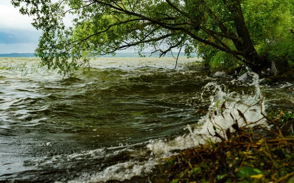 Summer Landscape Lake — Stock Photo, Image