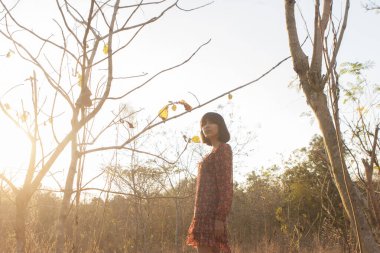 Genç kadın rahatlatıcı yaz günbatımı gökyüzü açık.